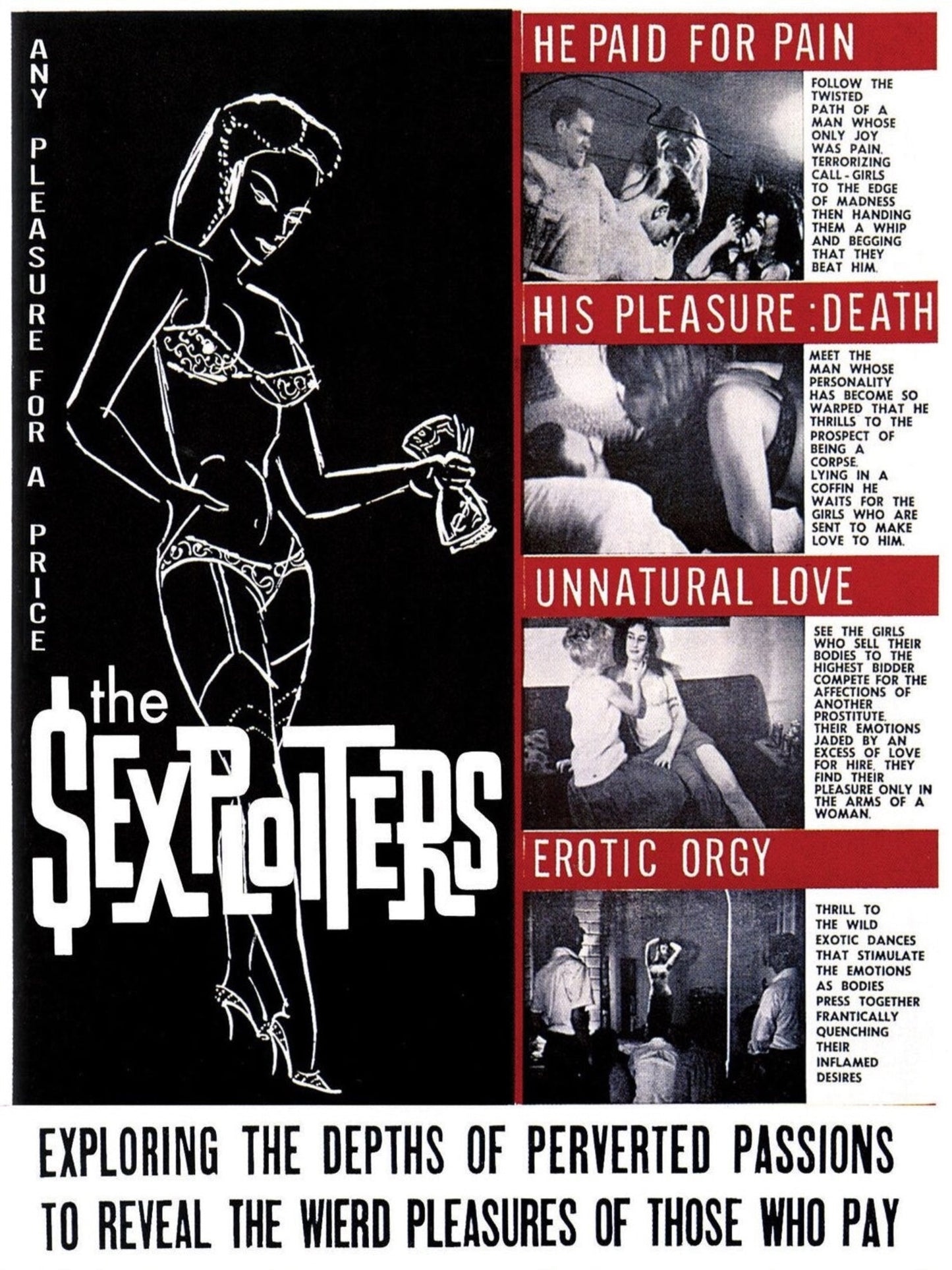 THE SEXPLOITERS / RAW LOVE BLU-RAY